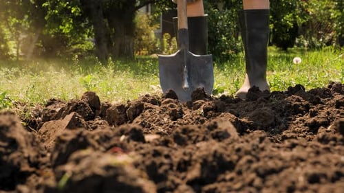 Adult Digging Soil With Shovel in Garden