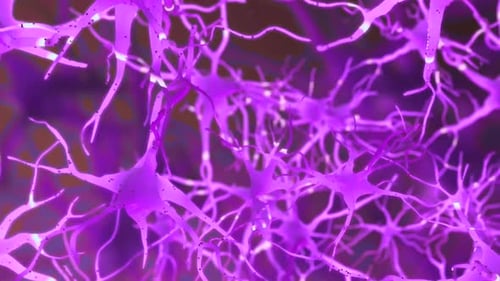 Animation de cellules neuronales.