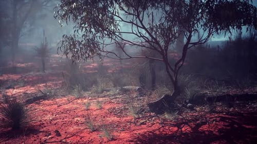 Misty Red Earth Forest Landscape