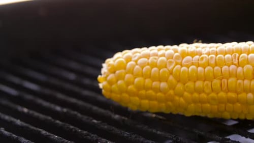 Corn roasting on brazier grill outdoors a delicious barbecue cooking concept
