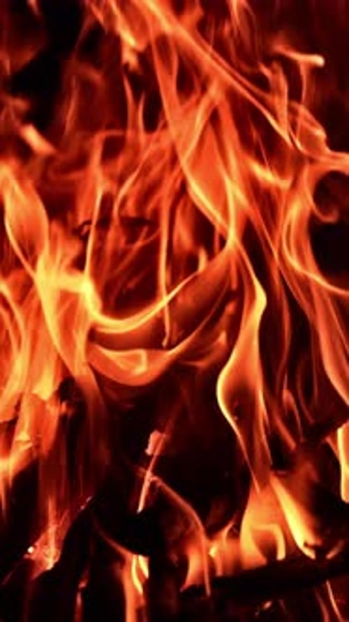 Hypnotizing bonfire burning in the dark night. Sticks of wood burn in the campfire. Vertical video