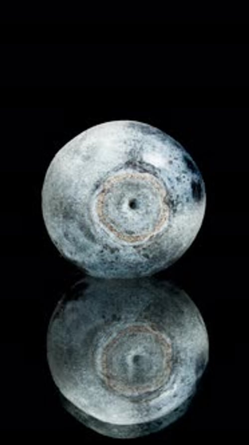Vertical video. Blueberry Covered in Frost and Ice Thaws on a Black Reflective Table, Time-lapse.