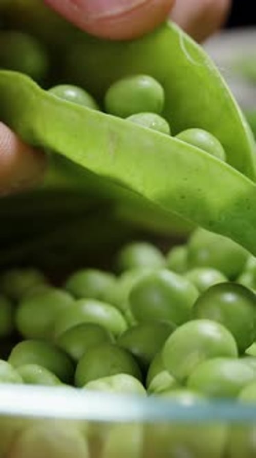 Vertical video. Close-up of shelling peas, green peas falling into the plate. Slow-motion.