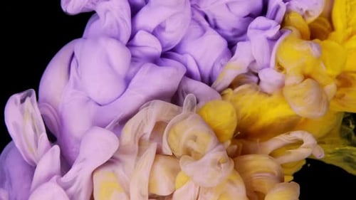 Abstract Colorful Liquids Swirling on Black Background