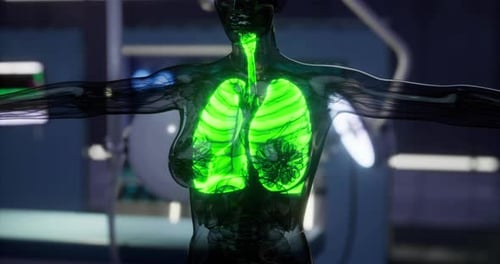Futuristic 3D Animation of Glowing Human Lungs