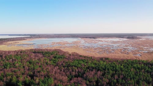 Aerial View Forest Area on the Shore of the Gulf of Riga in Jurmala Lapmezciems