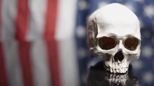 White Skull with American Flag in Background
