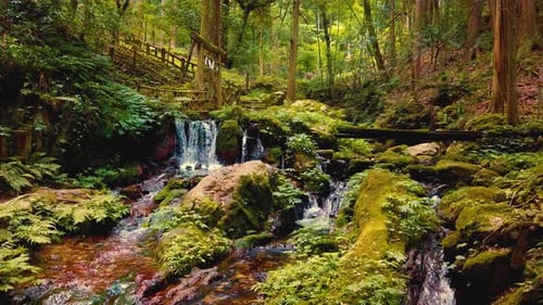 Waterfall flow, Japanese temple forest cascade landscape humid moss green stones