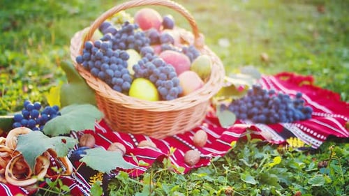 Obstkorb, Herbstfest, Feiertag