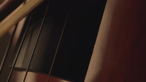 macro close up of cello, cello bow , cello playing and strings