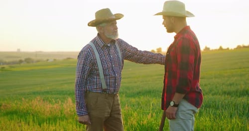 Greenhouse Male Workers Standing at the Field and Chatting with Pleasure About Something
