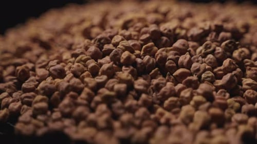 Pile of Raw Brown Chickpeas Rotating
