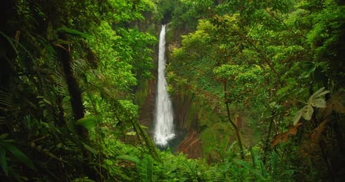 Tall Costa Rica waterfall viewed through lush green jungle foliage on a misty day