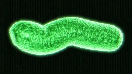 Virus Medical Micro Germ Glitch 4k Prores