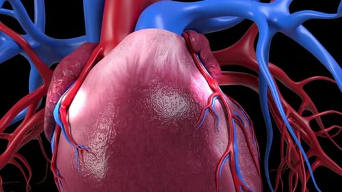 Double Heart Bypass