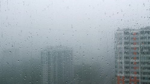 Rain Drops on Window