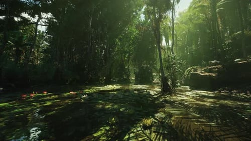 Serene Dawn Bathes Quiet Swamp in Soft Light and Drifting Fog
