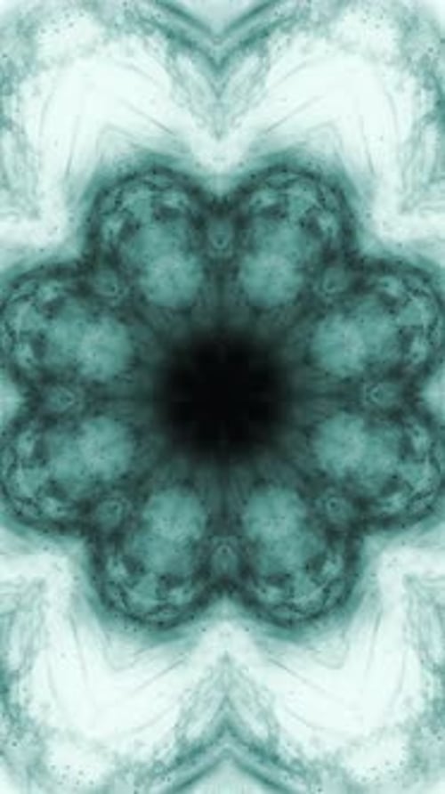 Abstract Flowing Ink Kaleidoscope Pattern Motion Loop