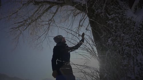 Male Person Walking in Deep Snow Looking at Single Tree
