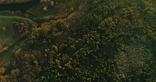 Environment Protection Aerial Shot of Nature Park