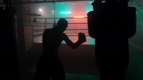 Boxer Fight Punching Bag