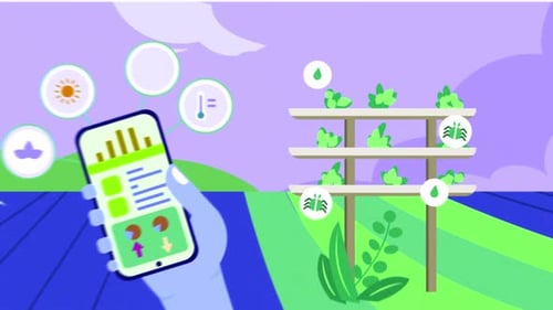 Farmer Looking Vertical Farm Data With Phone 2