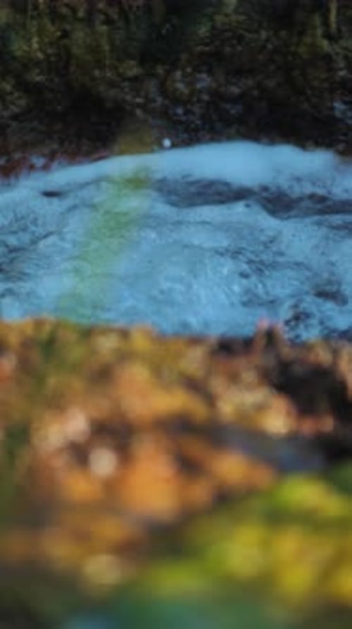 Vertical Screen Rushing Water Pulsates in High Bursts in a Turbulent Natural Spring Among Rocks