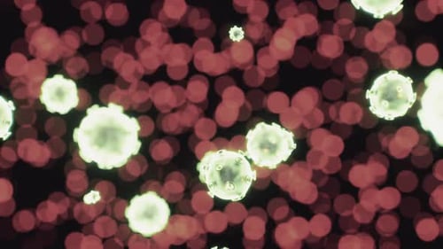 Viewing the Navirus Under a Digital Microscope