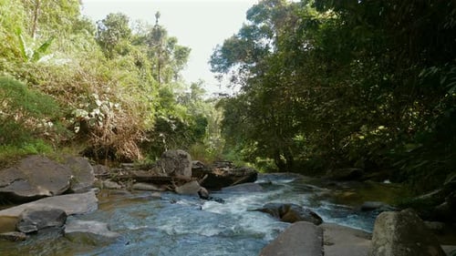 Serene Flowing River Surrounded By Lush Green Vegetation and Rocks