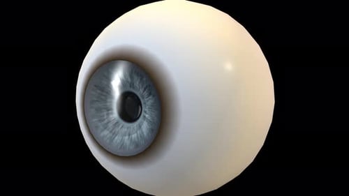 Human Eye Anatomy 3D Animation with Detailed Structure Reveal