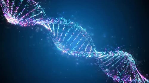 Human DNA genome double helix animation. Concept of future biotechnology, medicine, genetic engineer