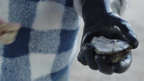 Shucking Raw Oyster Close Up on the Beach