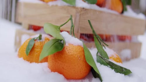 Orange d'hiver, mandarine, mandarine en hiver, neige, Noël, nouvelle année, humeur, gros plan de fruits