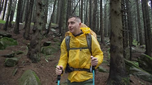 A Man with a Backpack Through the Forest in the Rain