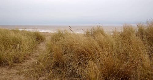 looking though the sand dunes Marram Grass with the sea beyond on Ingoldmells, Skegness beach
