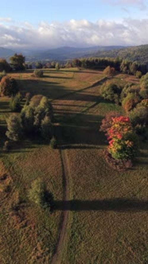 Aerial View of Autumn Meadow and Hills with Colorful Trees and Cloudy Mountains