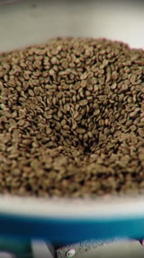 Fresh Unroasted Green Beans Falling Into a Container