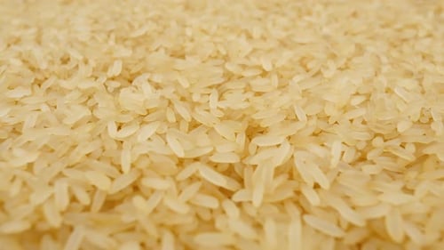 Rice Closeup View