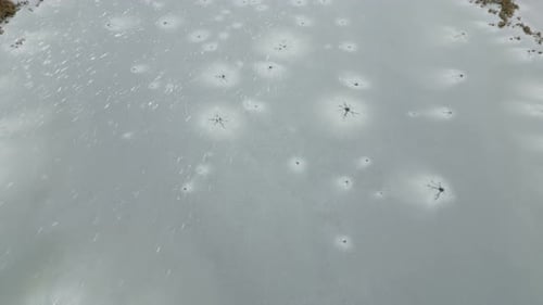 Frozen Water in River or Lake