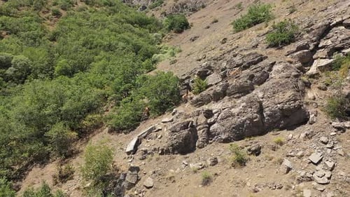 Aerial View Of Herd Of Wild Goats Climbing Mountains 3
