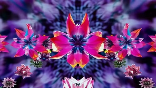 Graphiques animés en kaléidoscope coloré en forme de fleur de lotus