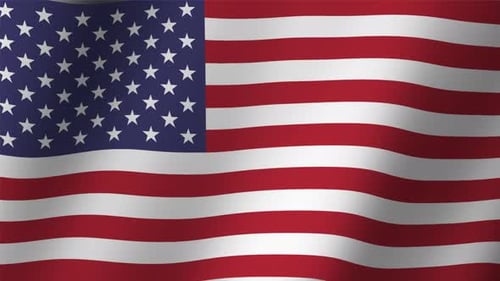 United States of America Flag