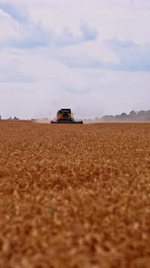 Harvester on Wheat Field