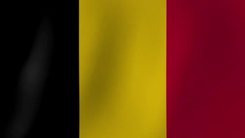 Waving Vertical Flag of Belgium