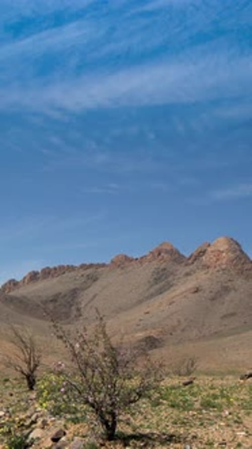 Atlas Mountains Morocco in Vertical