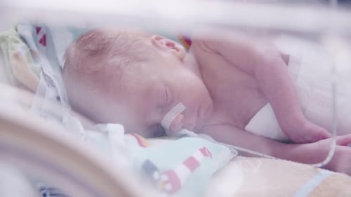 Newborn Infant Sleeping Peacefully in Hospital Incubator