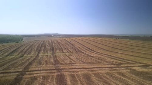 Tractor working on the field doing tillage with cultivator