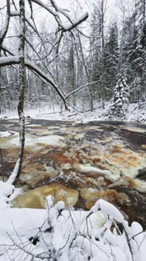 Lindulovskaya Grove an Ecological Trail a Calm Winding River in a Snowy Forest Trees Under the Snow