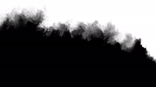 Ink Transition Screen Drop Texture Transition Ink Transition White and Black Splatter Blot Animation Background