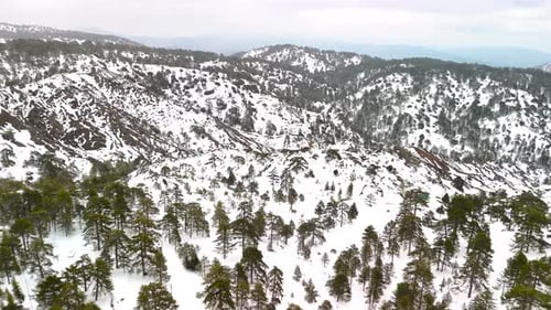 Drone Shot of Snow Covered Mountains and Forest